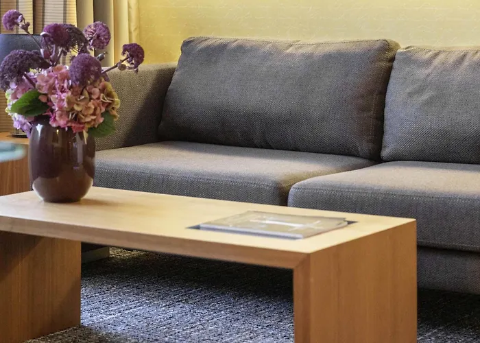 Pullman Cocagne 4* Αϊντχόφεν