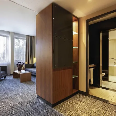 풀먼 코카그네 호텔 에인트호번