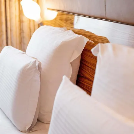 풀먼 코카그네 호텔 에인트호번