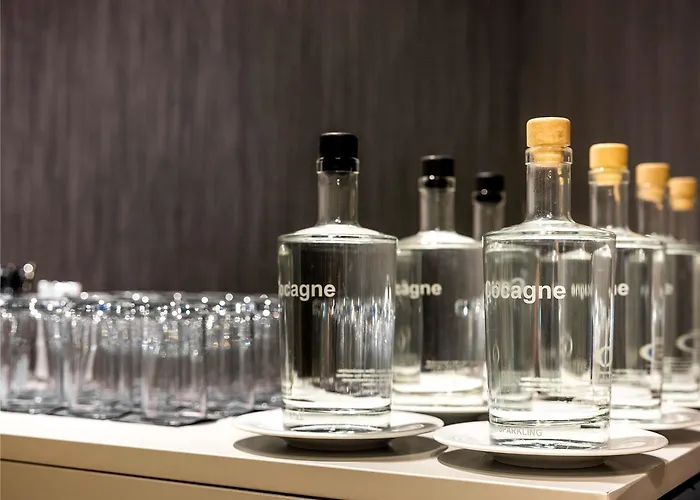 호텔 풀먼 코카그네