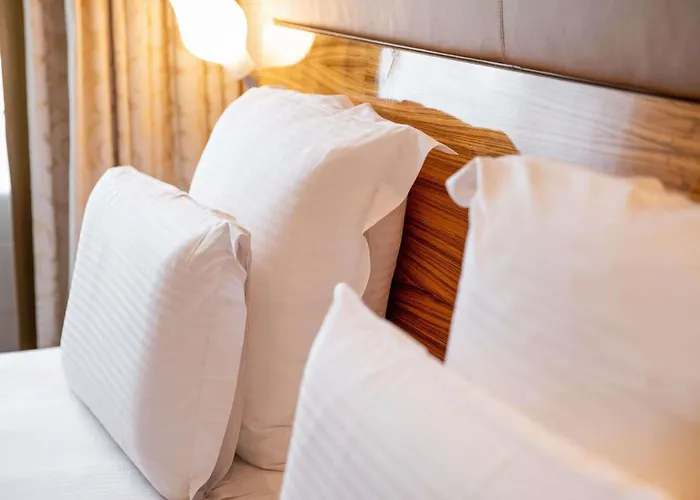 Pullman Cocagne 4* Eindhoven